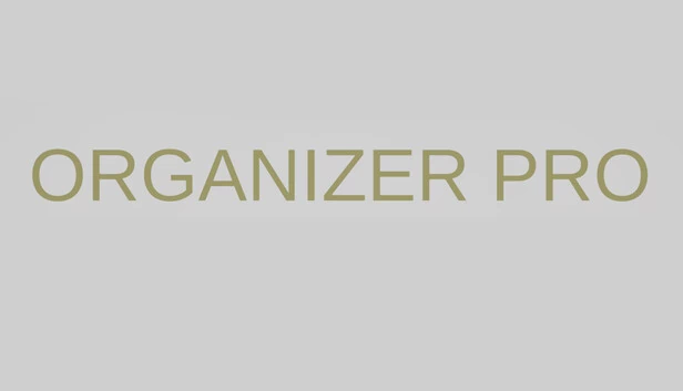 Organizer Pro 游戏封面