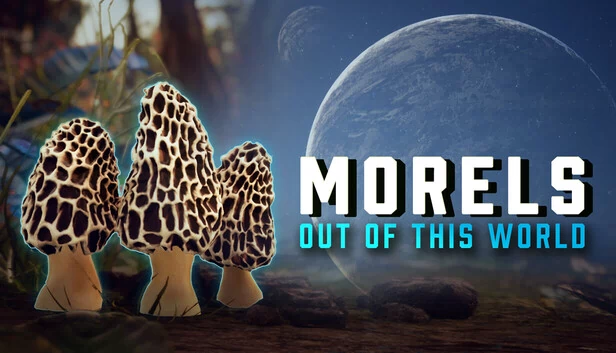 莫雷尔斯：异世界（Morels: Out of this World） 游戏封面