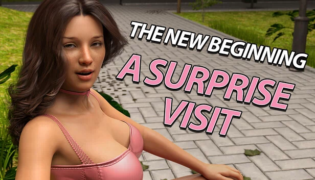 新的开始：意外来访（The New Beginning: A Surprise Visit） 游戏封面