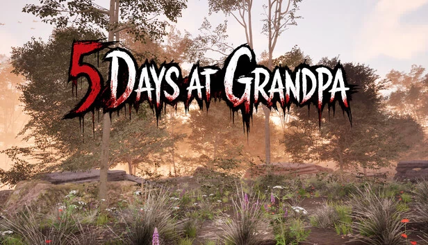 爷爷的5天（5 days at grandpa） 游戏封面