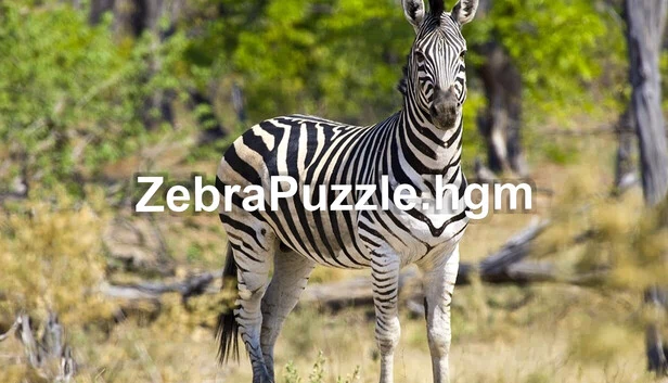 斑马拼图.hgm（ZebraPuzzle.hgm） 游戏封面