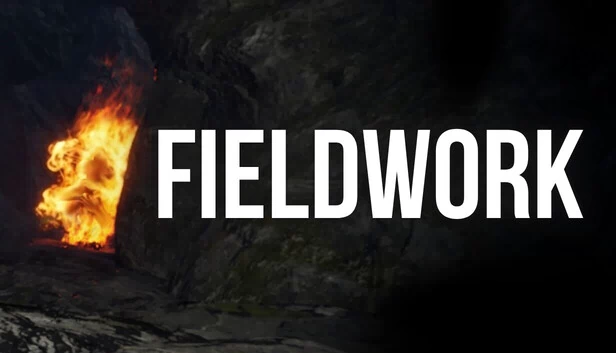 实地调查（Fieldwork） 游戏封面