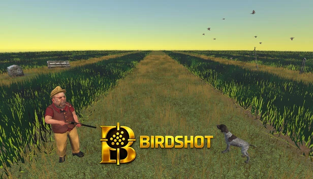 鸟弹（Birdshot） 游戏封面