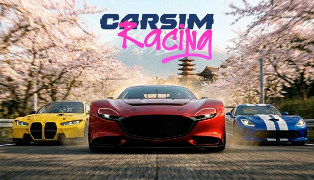 CarSim Racing 游戏封面