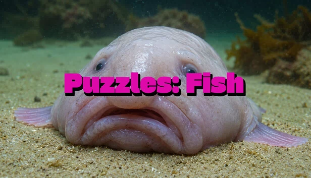 谜题：鱼（Puzzles: Fish） 游戏封面