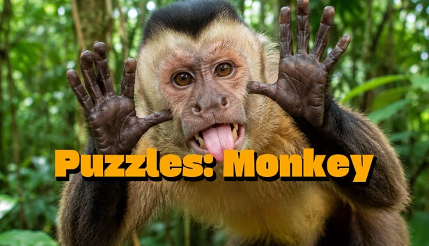 Puzzles: Monkey 游戏封面