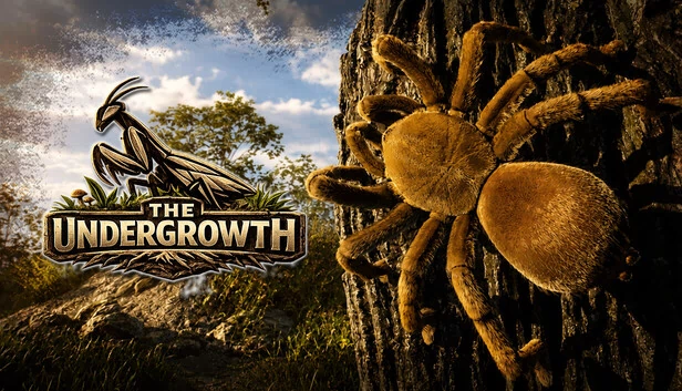 林下植被（The Undergrowth） 游戏封面