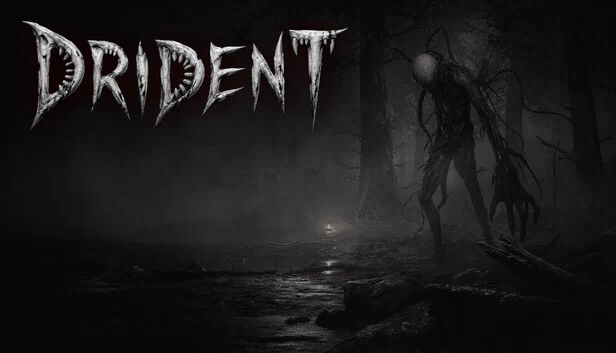 Drident 游戏封面