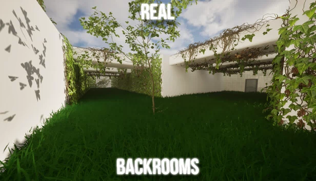 真实后室（Real backrooms） 游戏封面