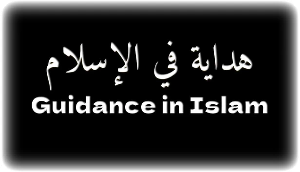 伊斯兰教指南(Guidance in Islam) 游戏封面