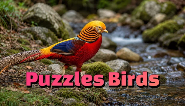 小鸟拼图（Puzzles Birds） 游戏封面