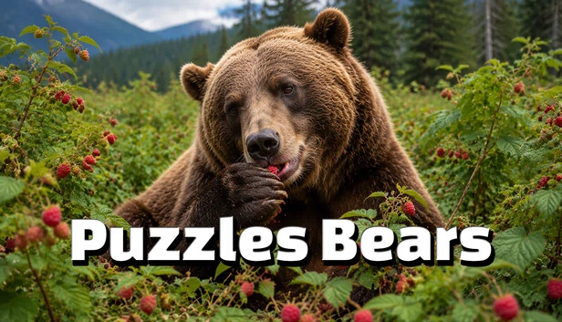 谜题熊（Puzzles Bears） 游戏封面