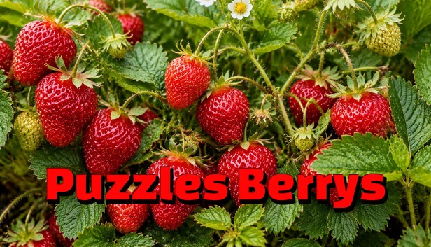 贝瑞斯谜题（Puzzles Berrys） 游戏封面