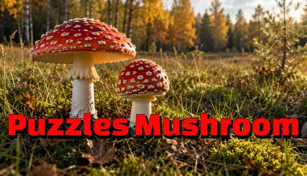 蘑菇谜题（Puzzles Mushroom） 游戏封面