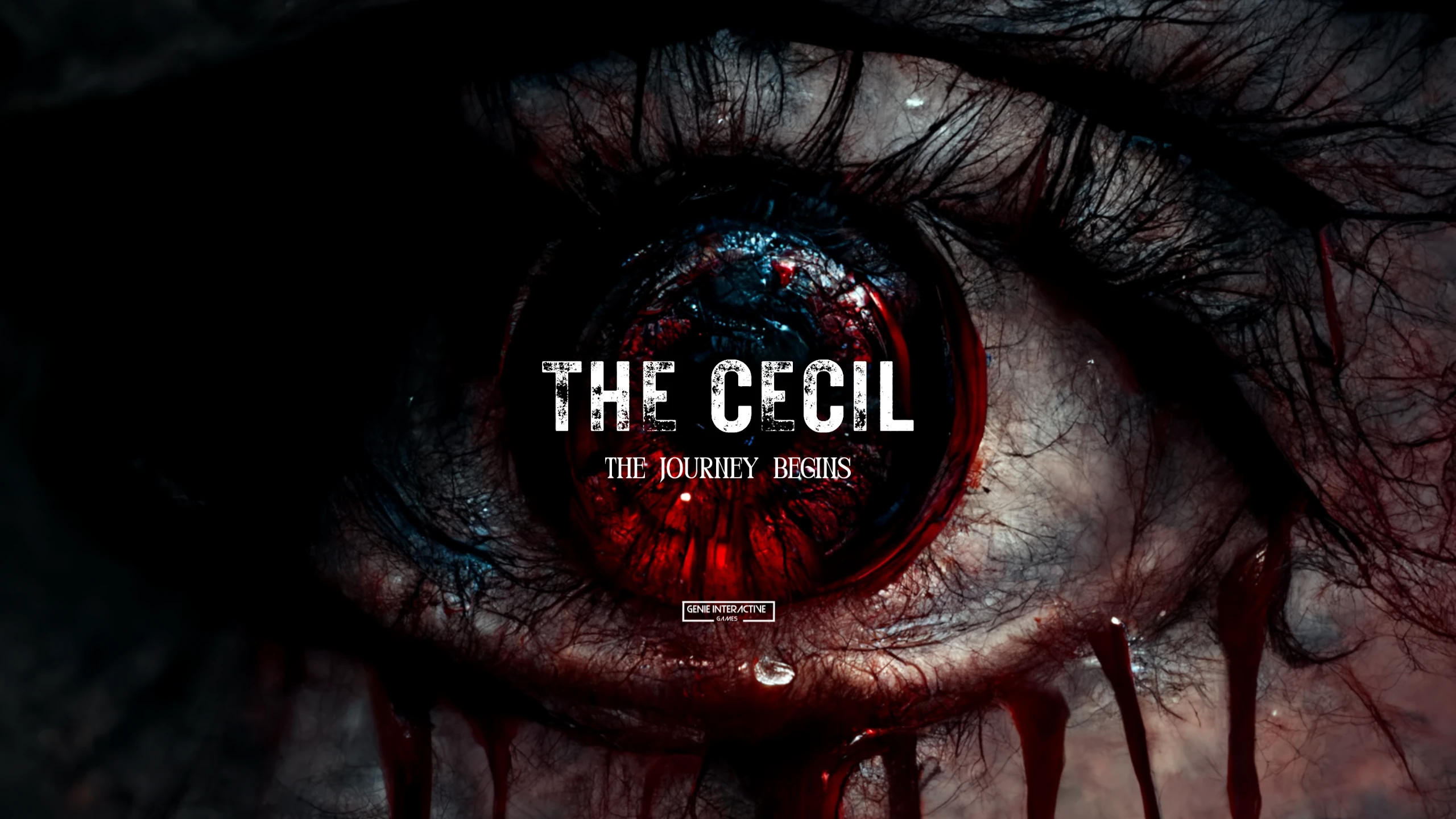 塞西尔：旅程开始（The Cecil The Journey Begins） 游戏封面