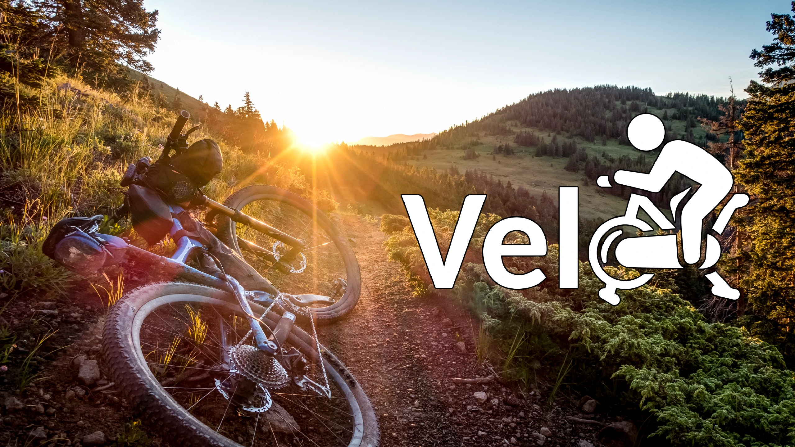 Velo 游戏封面