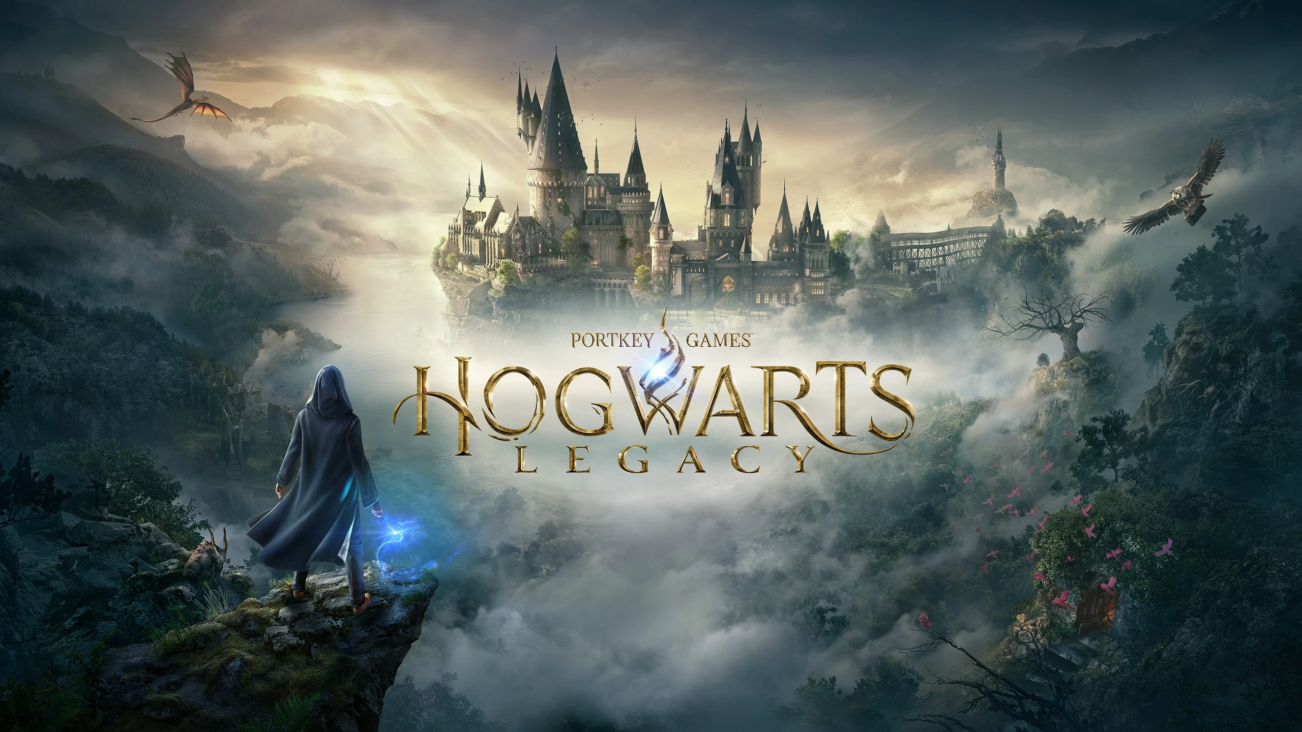 测试 霍格沃茨之遗（TESTING Hogwarts Legacy） 游戏封面