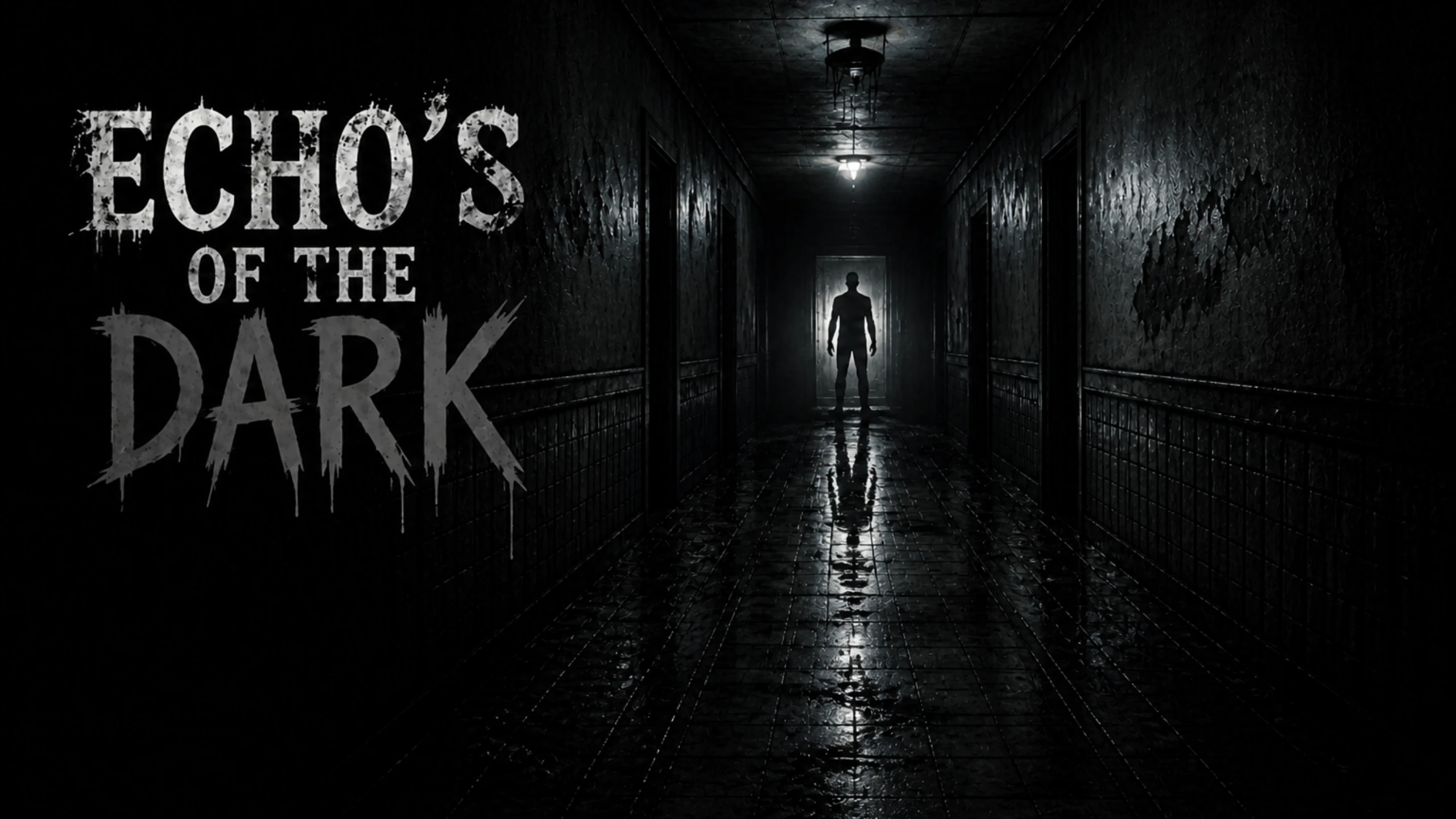 暗之回响（Echo's of the Dark） 游戏封面