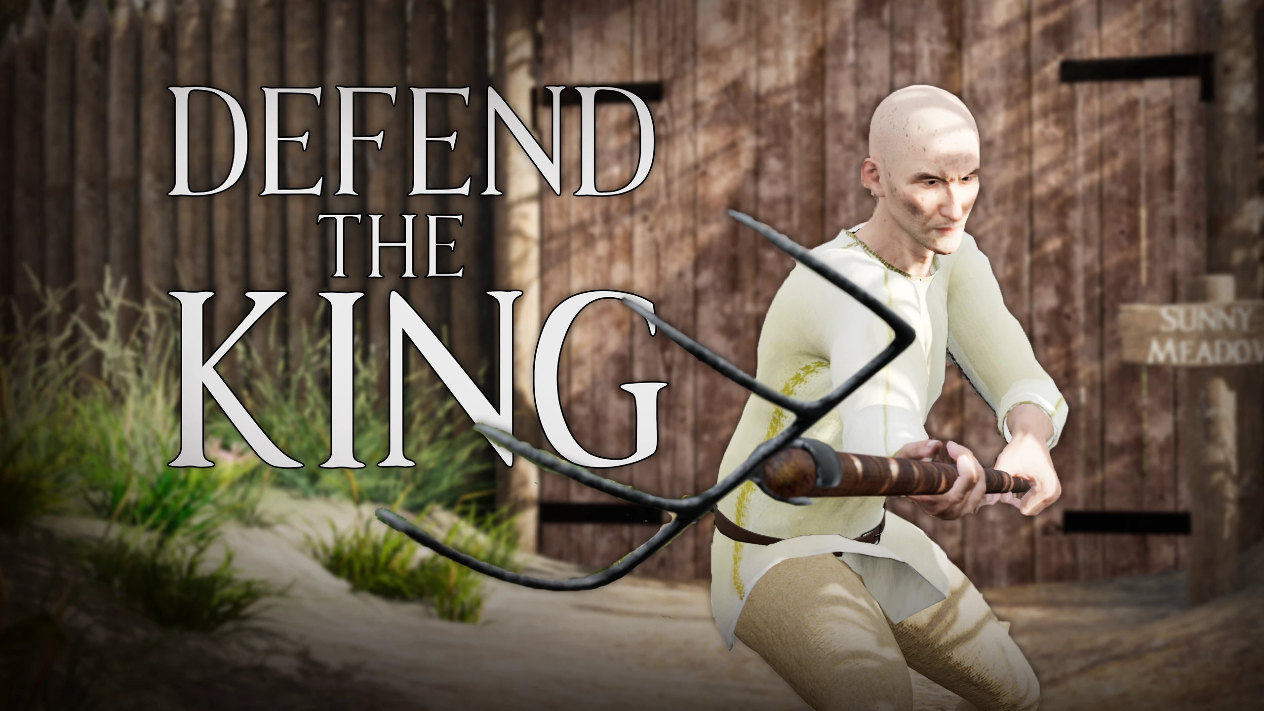 保卫国王（Defend The King） 游戏封面