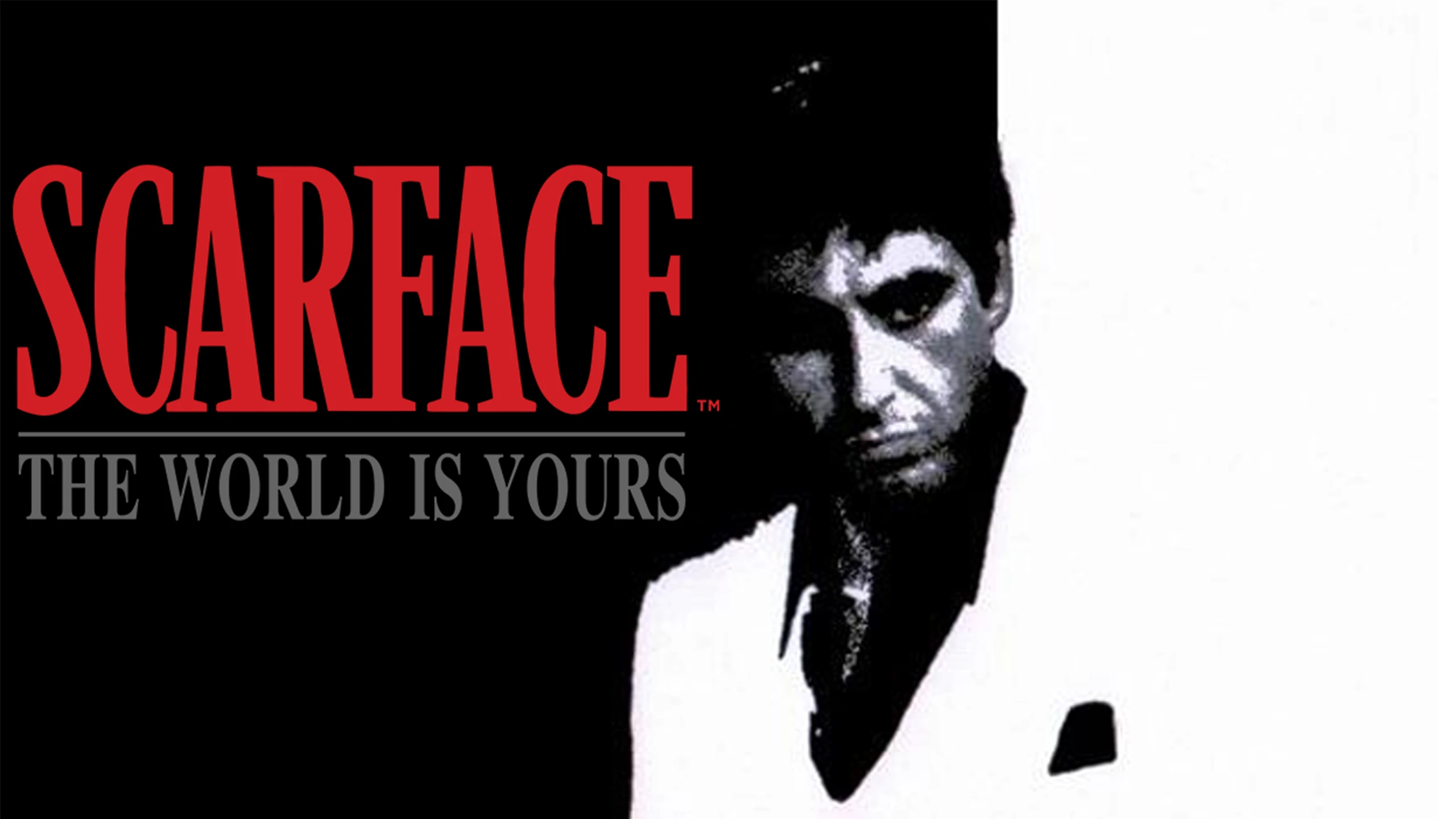 疤面煞星:世界是你的(Scarface: The World Is Yours) 游戏封面