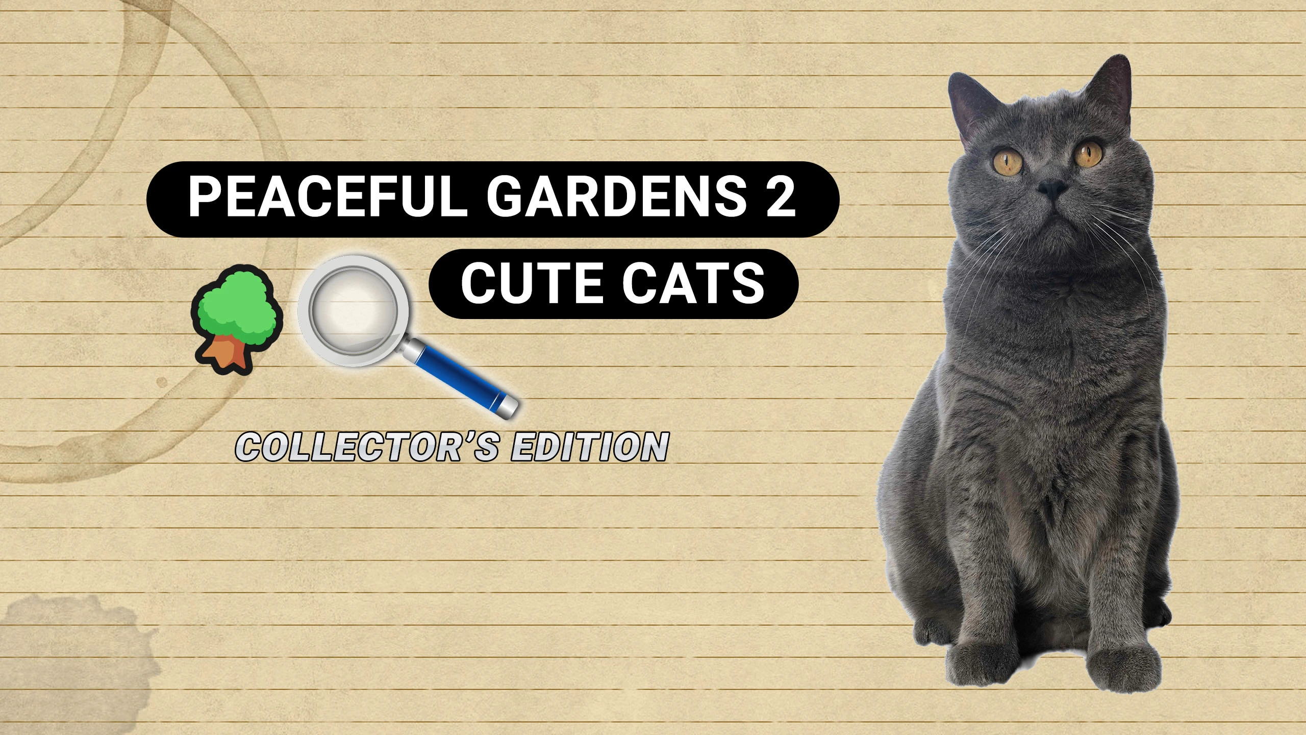 宁静花园2：萌猫收藏版（Peaceful Gardens 2: Cute Cats Collector's Edition） 游戏封面