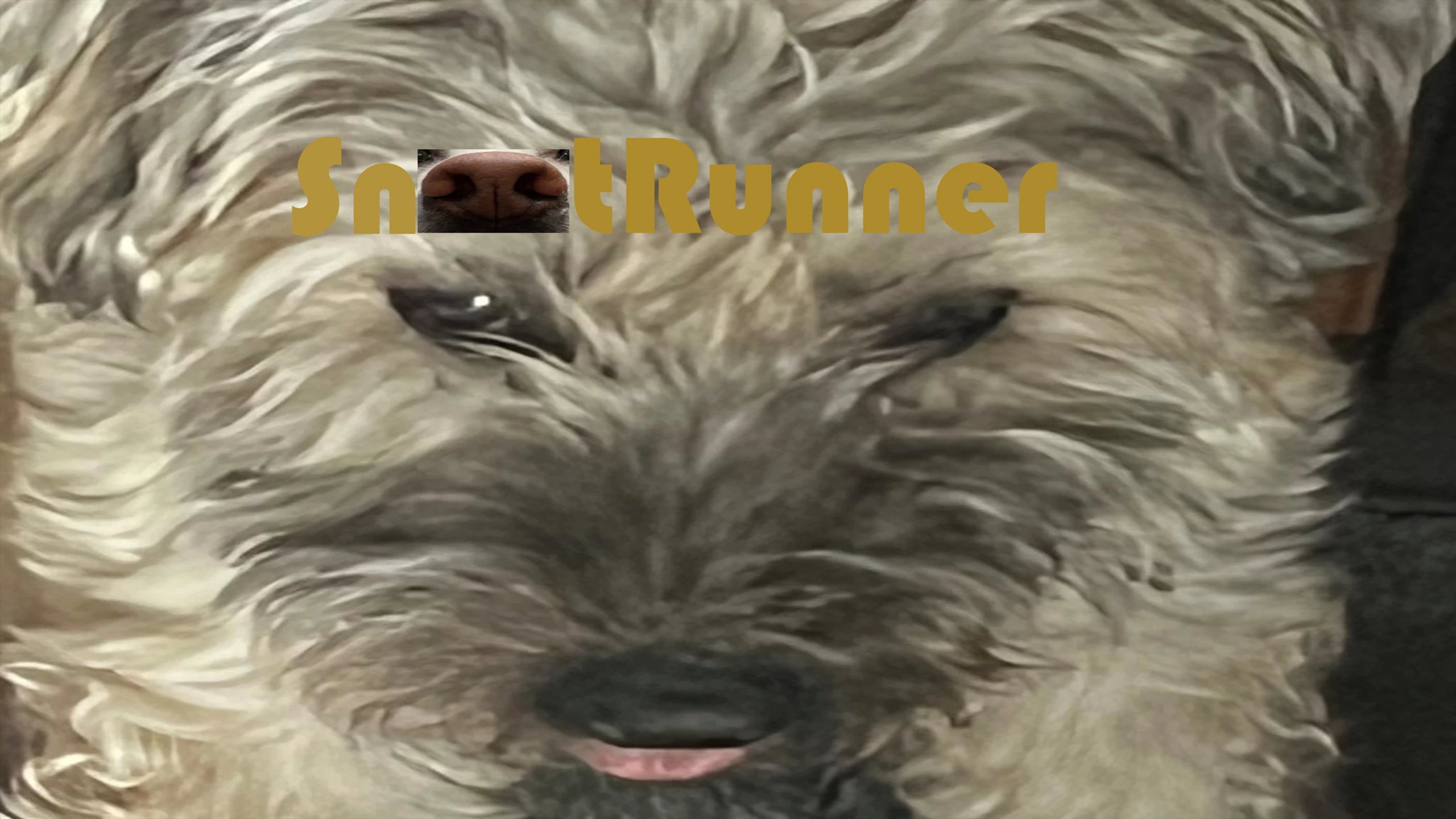Snoot Runner 游戏封面