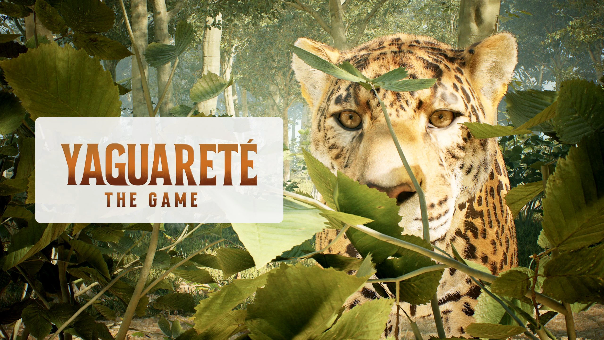 亚瓜雷特：游戏（Yaguarete: The Game） 游戏封面