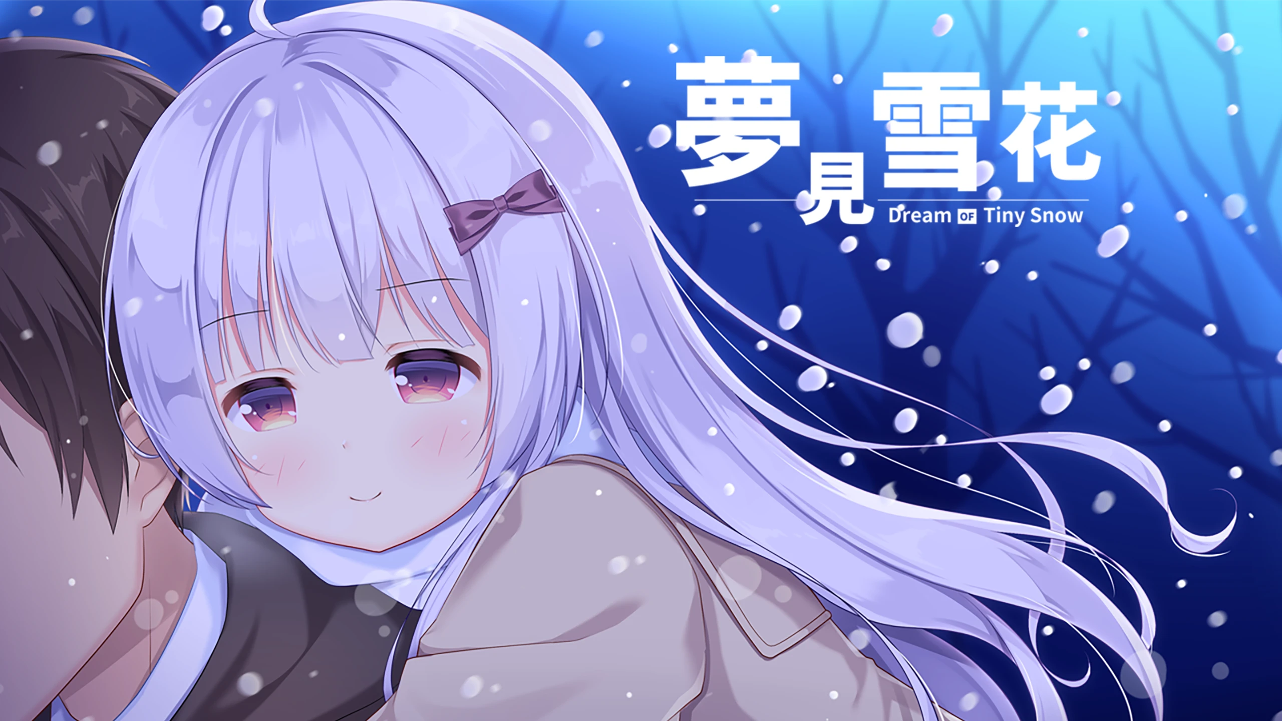 微雪之梦（Dream of Tiny Snow） 游戏封面