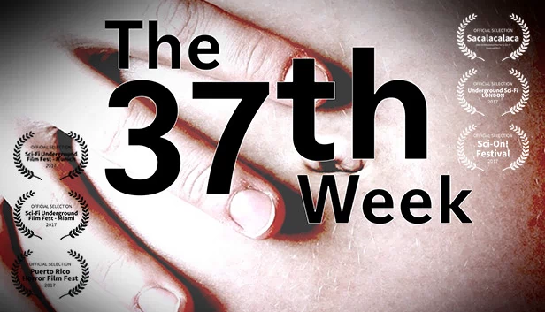 第37周（The 37th Week） 游戏封面
