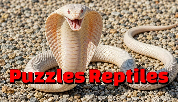 爬行动物谜题（Puzzles Reptiles） 游戏封面