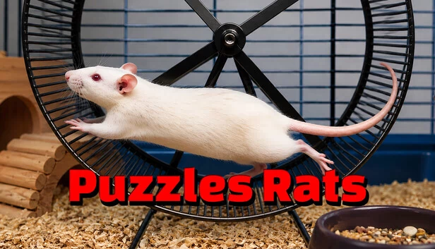 谜题老鼠（Puzzles Rats） 游戏封面