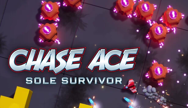 追逐王牌:唯一幸存者(Chase Ace Sole Survivor) 游戏封面