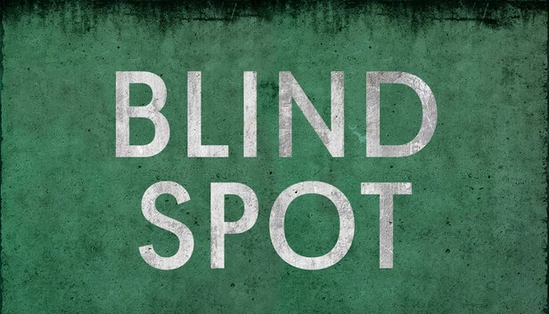 盲点（BLIND SPOT） 游戏封面