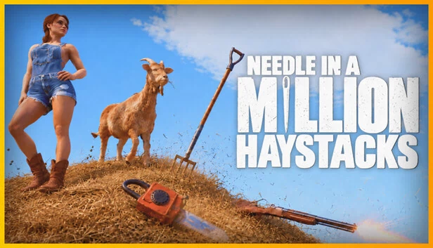 百万干草堆中的针（Needle in a Million Haystacks） 游戏封面