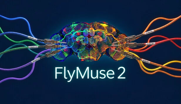 FlyMuse  2 游戏封面