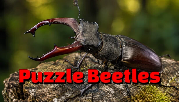 Puzzle Beetles 游戏封面