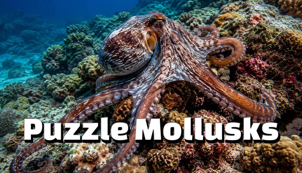 Puzzle Mollusks 游戏封面