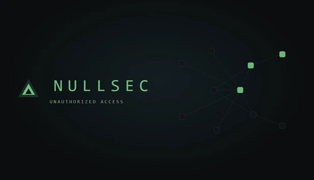 Nullsec: Unauthorized Access 游戏封面