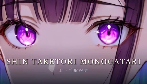 真・竹取物語 / Shin Taketori Monogatari 游戏封面