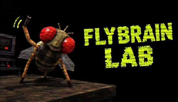 FLYBRAIN LAB 游戏封面