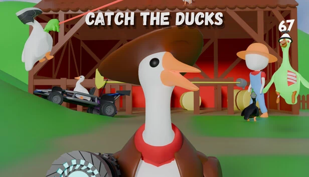 Catch The Ducks 游戏封面