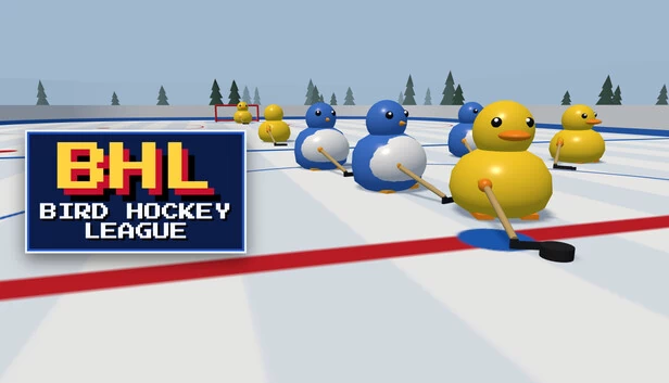 Bird Hockey League 游戏封面