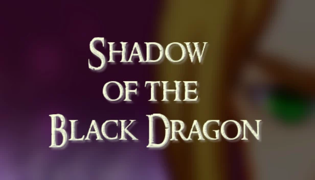 黑龙之影（Shadow of the Black Dragon） 游戏封面