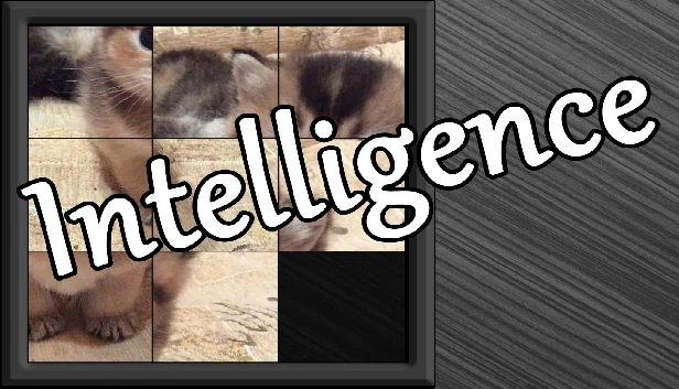 智力（Intelligence） 游戏封面