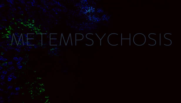 轮回（Metempsychosis） 游戏封面