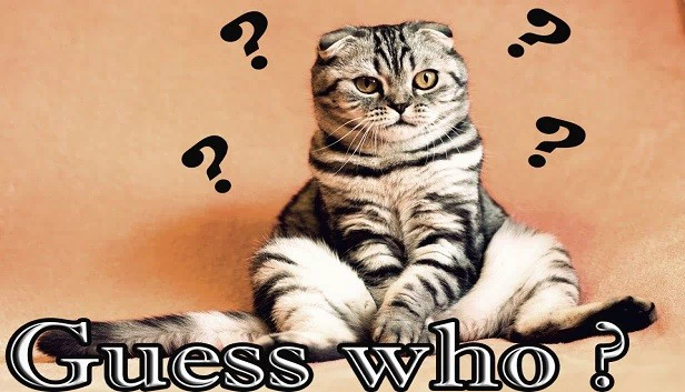 猜猜是谁？（Guess who ?） 游戏封面
