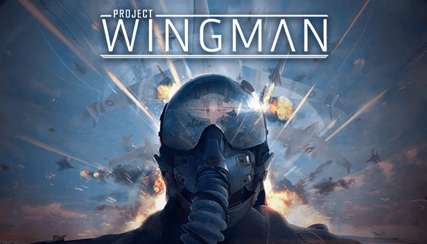 僚机计划（Project Wingman） 游戏封面