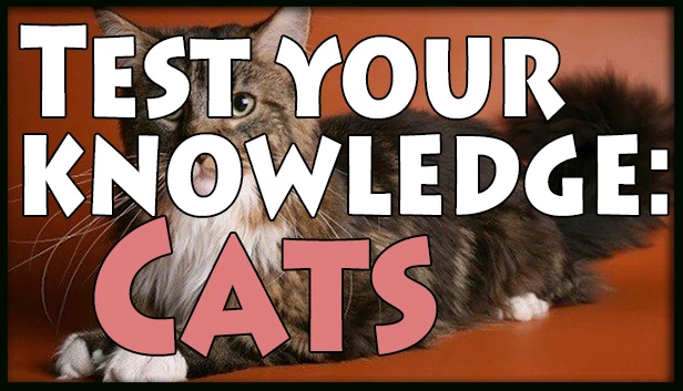 测试你的知识：猫（Test your knowledge: Cats） 游戏封面