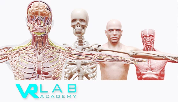 VRLab Academy 解剖学 VR（VRLab Academy Anatomy VR） 游戏封面