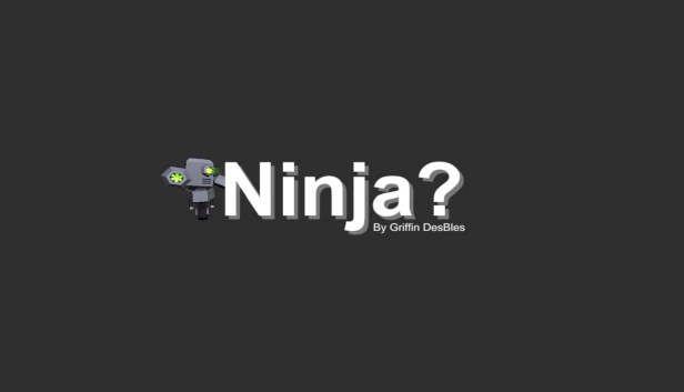 忍者？（Ninja?） 游戏封面